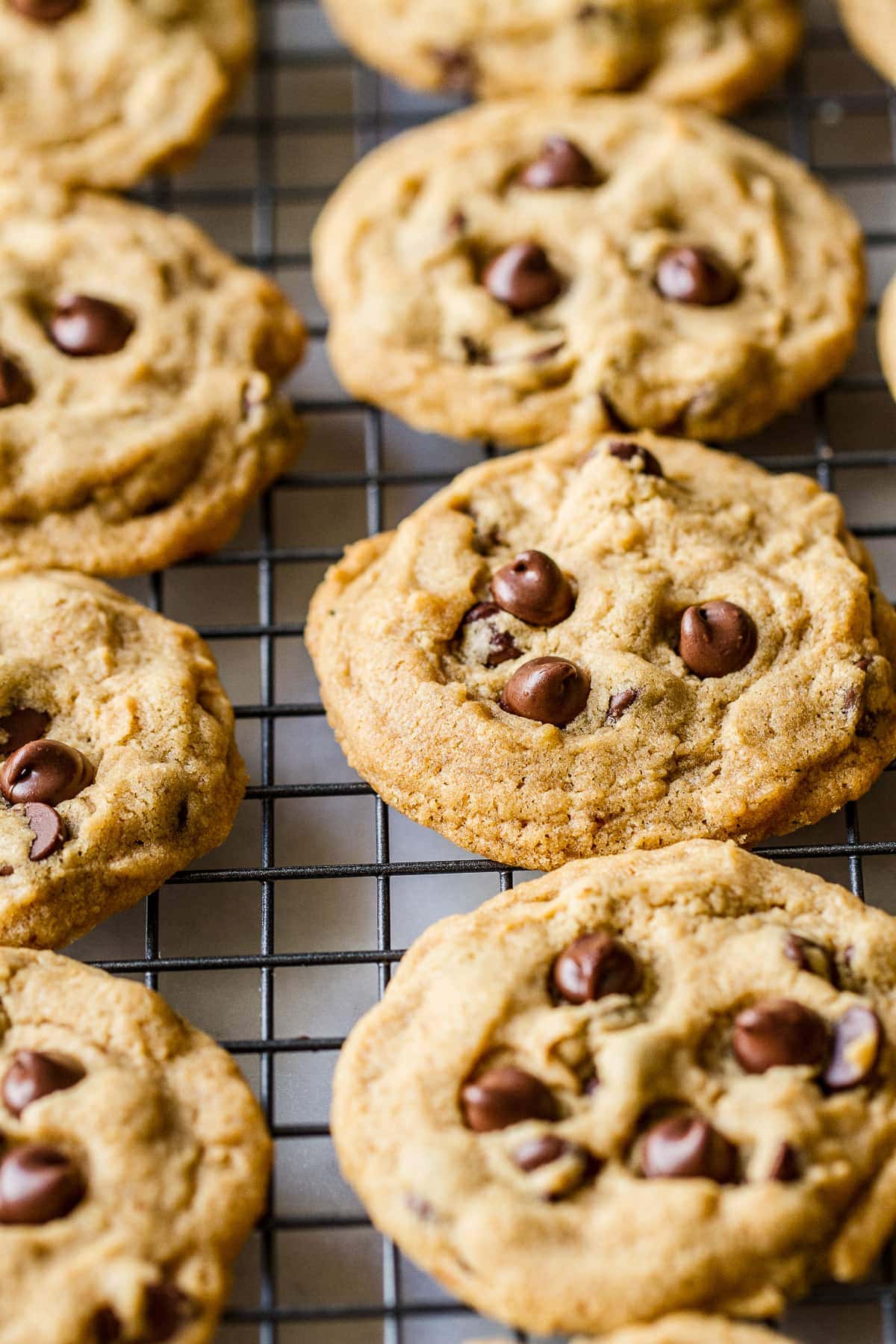 side angle view of vegan chocolate chip cookies cooling on a wire rack.