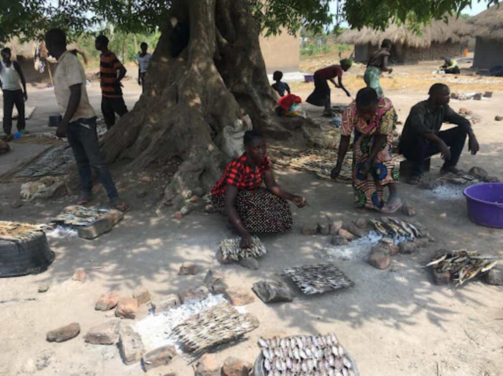 Folks gathered by a tree with various fish for sale.