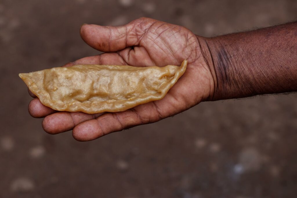 Hand holds emmer dumpling.