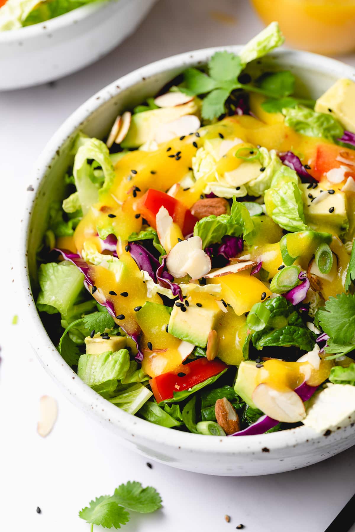 side angle view of rainbow chop chop salad in a bowl.