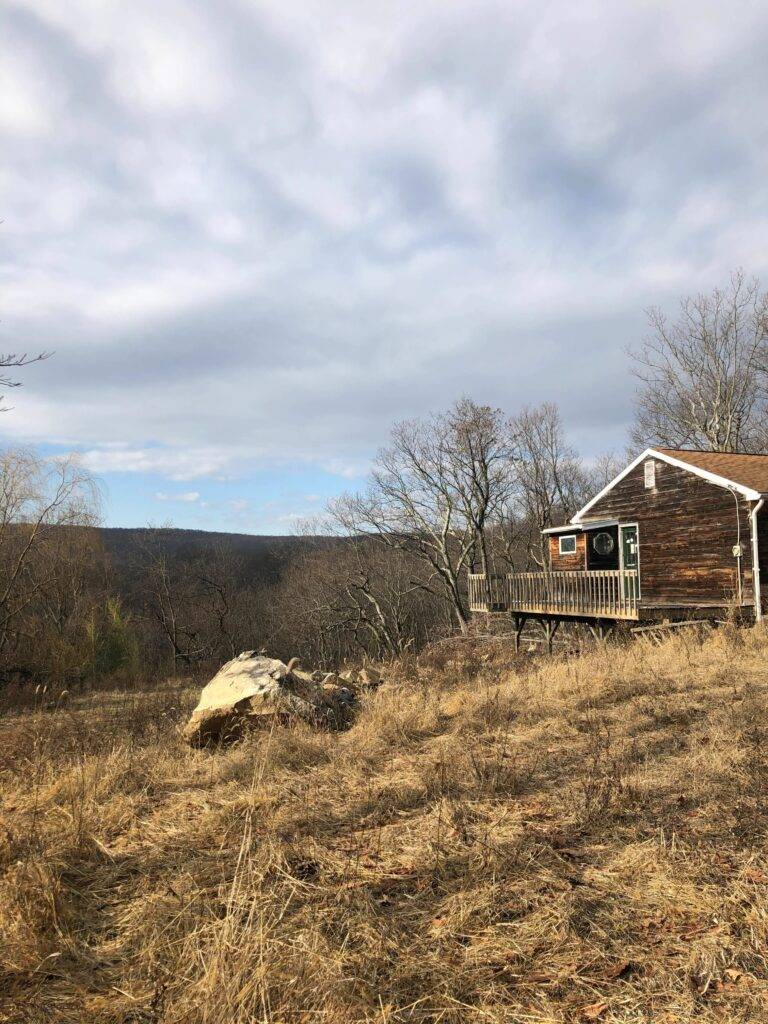 Bea's Cabbage and its view.