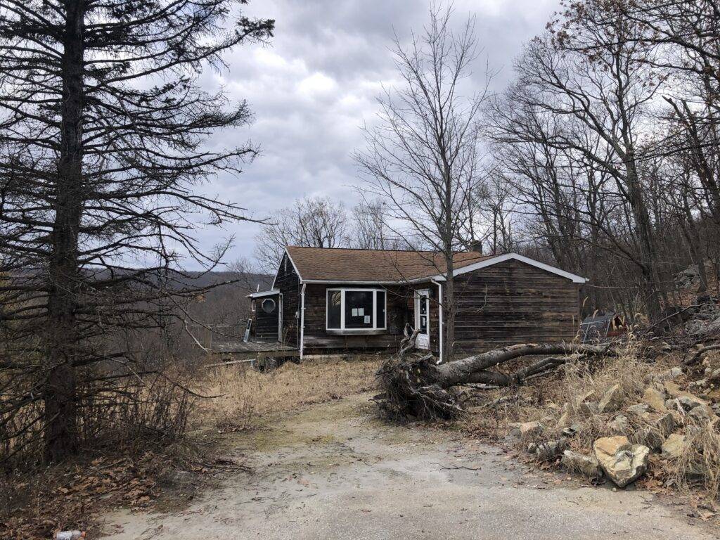 A run down cottage at the end of a driveway through trees.