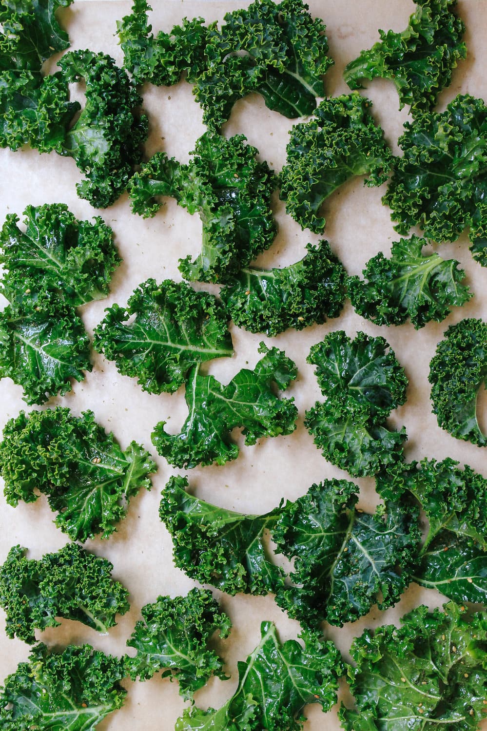 kale pieces rubbed with oil and seasoned before baking kale chips.