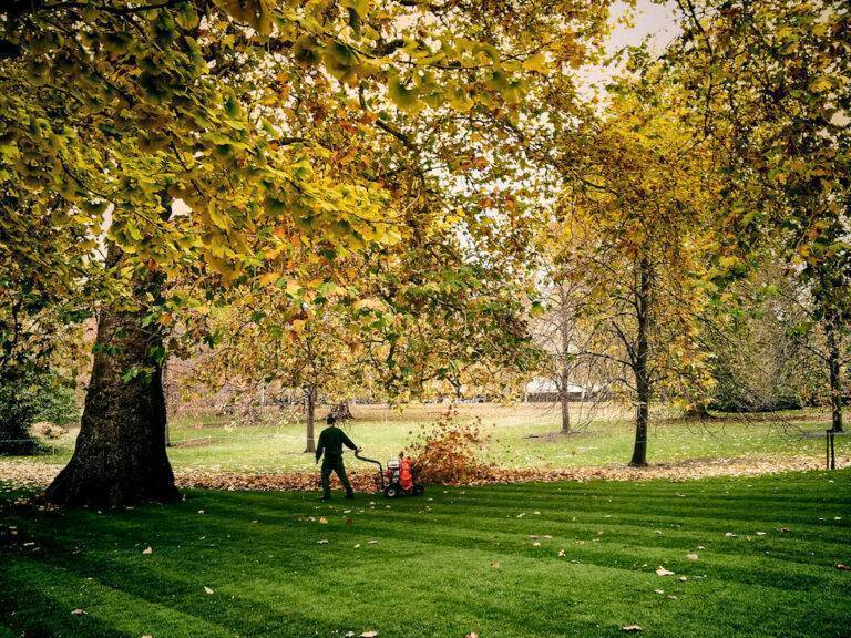 California Blows off Leaf Blowers