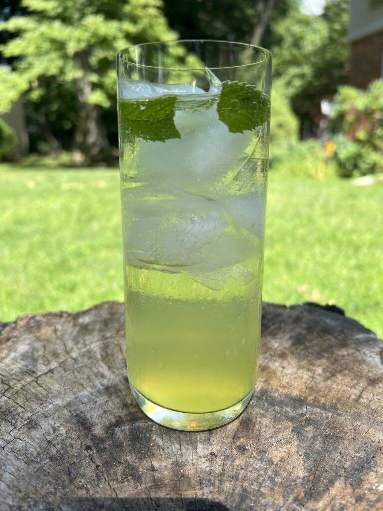 RECIPE: Limoncello Spritzer