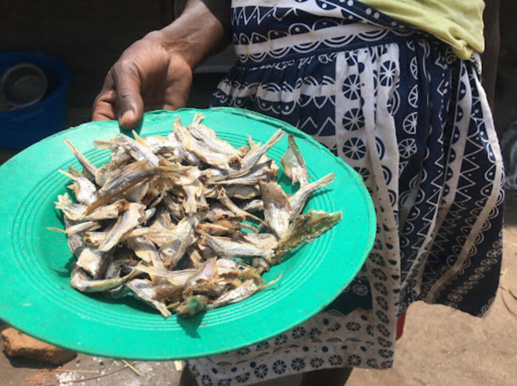 A plateful of small cooked fish.