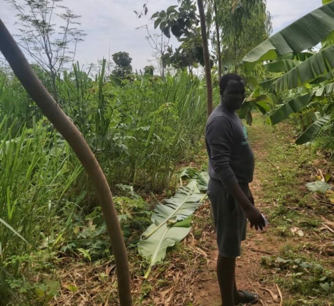 man on his farm