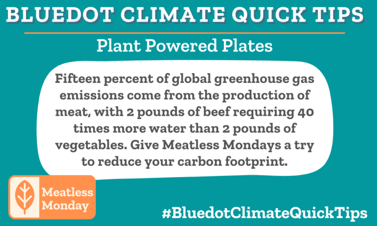 Climate Quick Tip: Plant Powered Plates Fifteen percent of global greenhouse gas emissions come from the production of meat, with 2 pounds of beef requiring 40 times more water than 2 pounds of vegetables. Give Meatless Mondays a try to reduce your carbon footprint. Dear Dot discovered that a meatless diet significantly benefits the environment and its inhabitants. Try one plant-based meal a week!